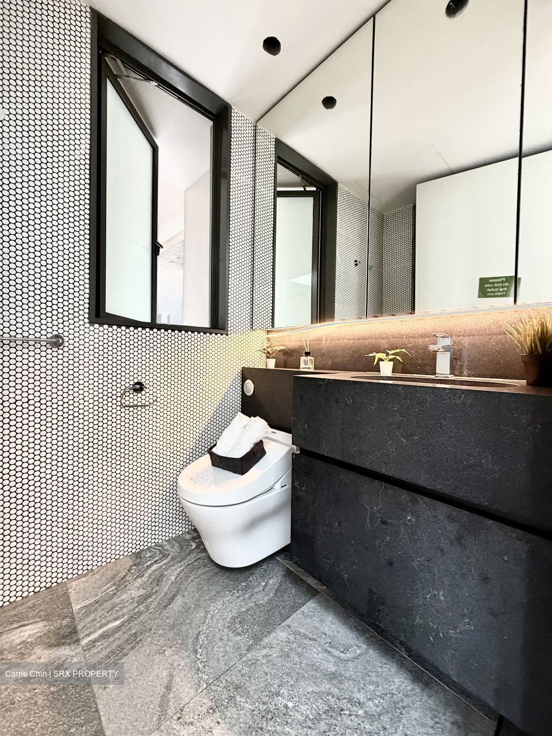 10 Evelyn (D11), Apartment #548530191